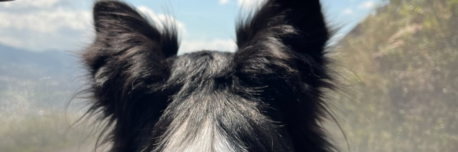 hantuch's profile banner image