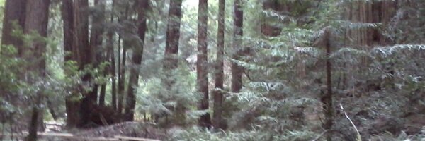 FrankLlewellyn Profile Banner