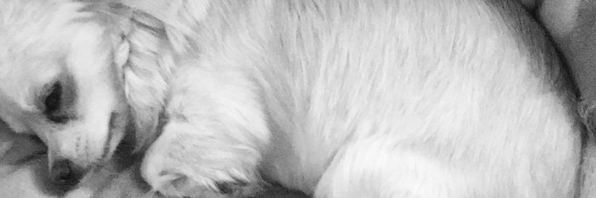 lorzelou986's profile banner image