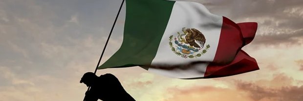 Rex Bauer 🇲🇽 banner