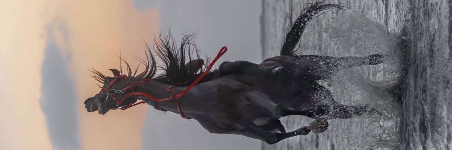 BESHv's profile banner image