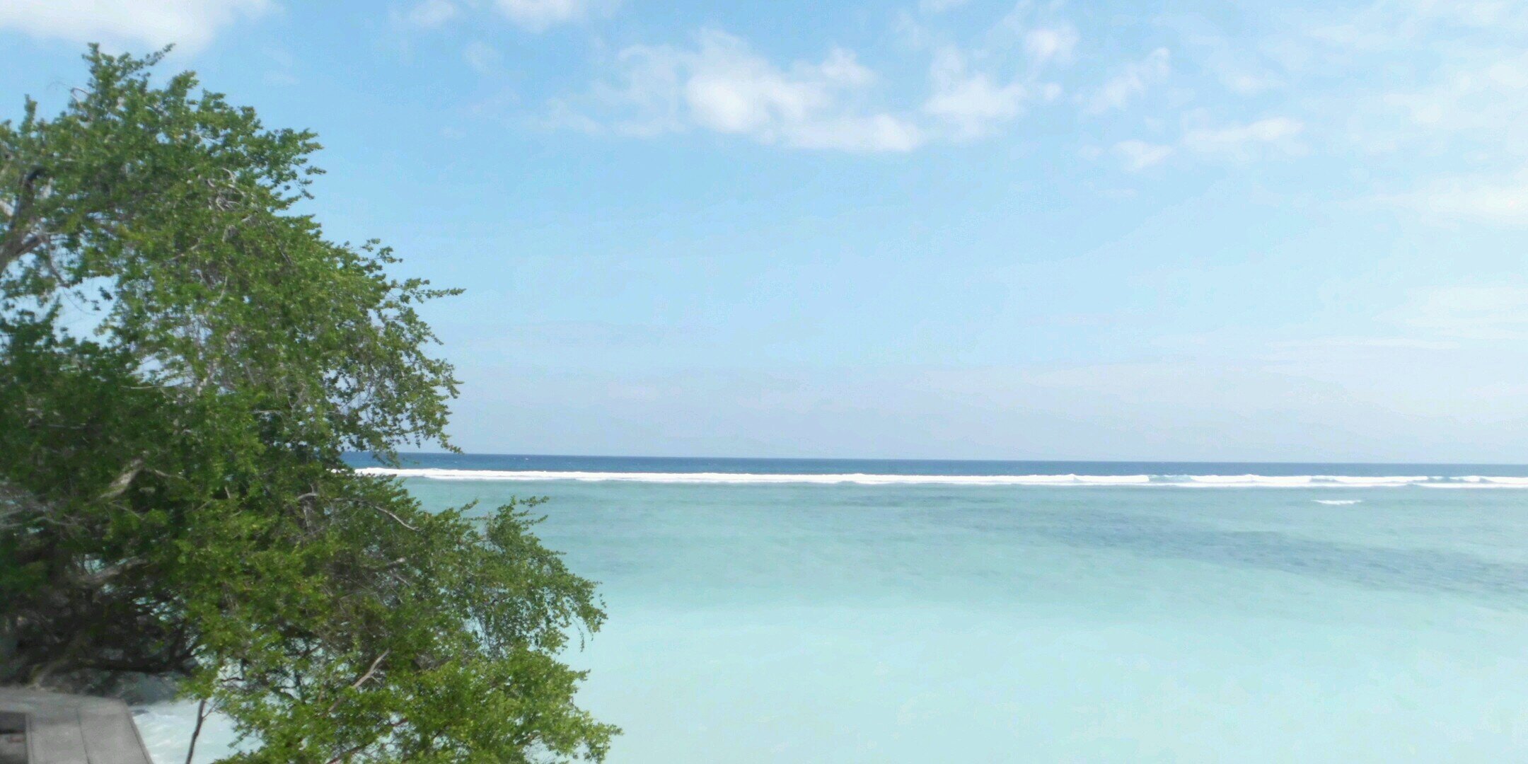 nurdhani's profile banner image