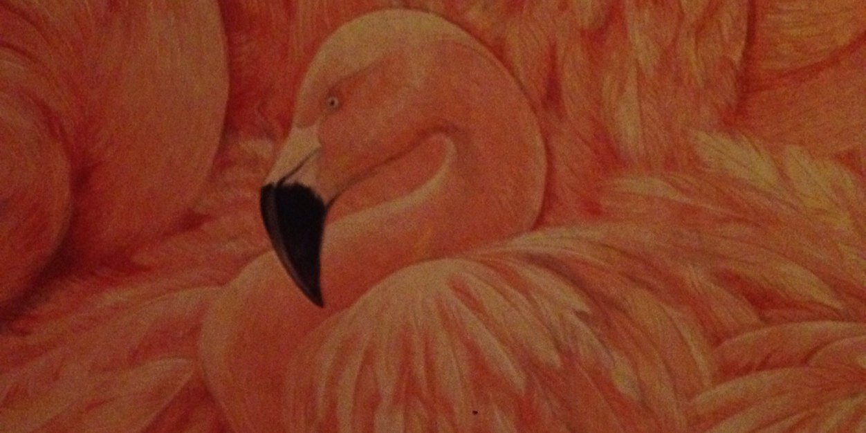 tammyanntinker's profile banner image