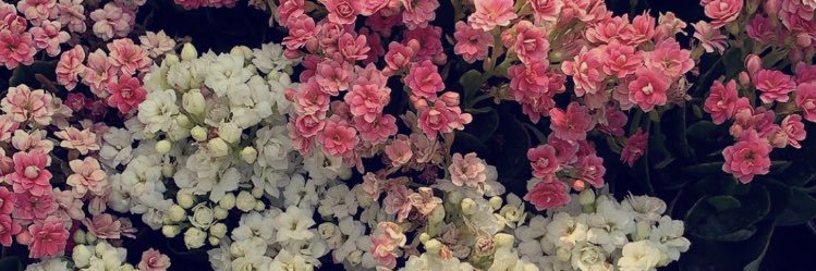 arar24l's profile banner image