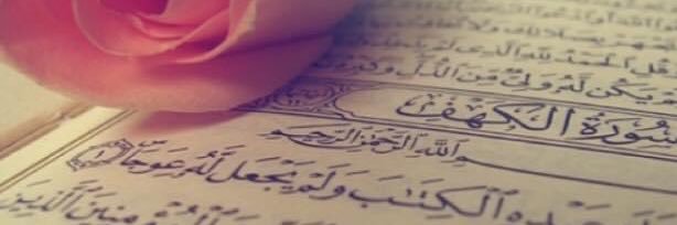 Lana Badran banner