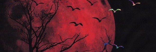 ALBANY4LIFE's profile banner image