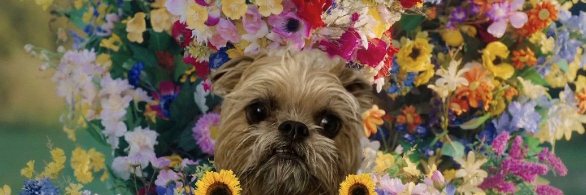 smallg0blin's profile banner image