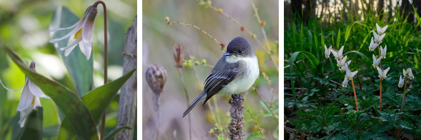 The Land Conservancy banner