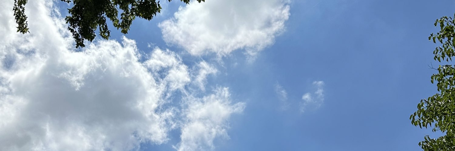 skylerde's profile banner image