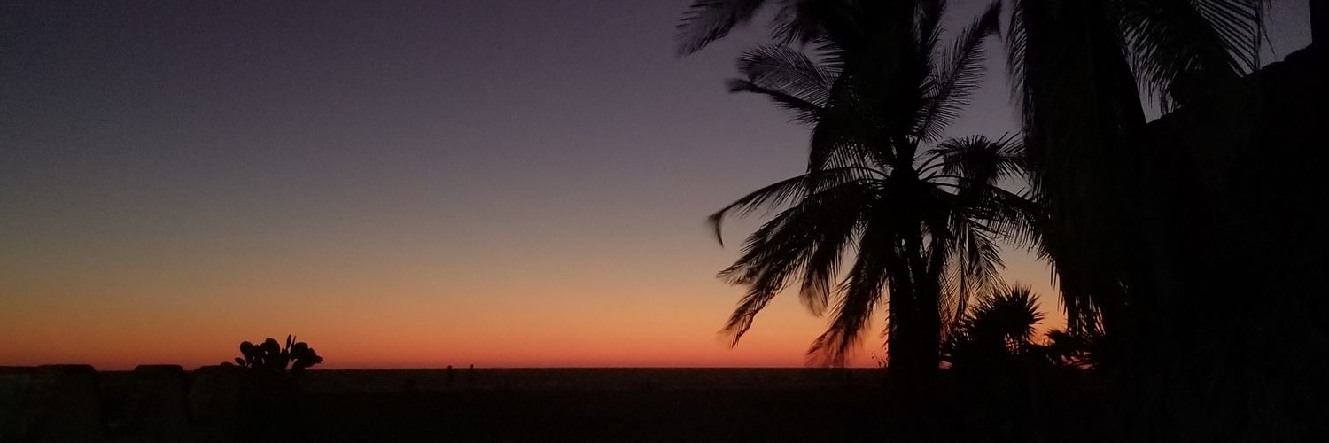 AriBeMi's profile banner image