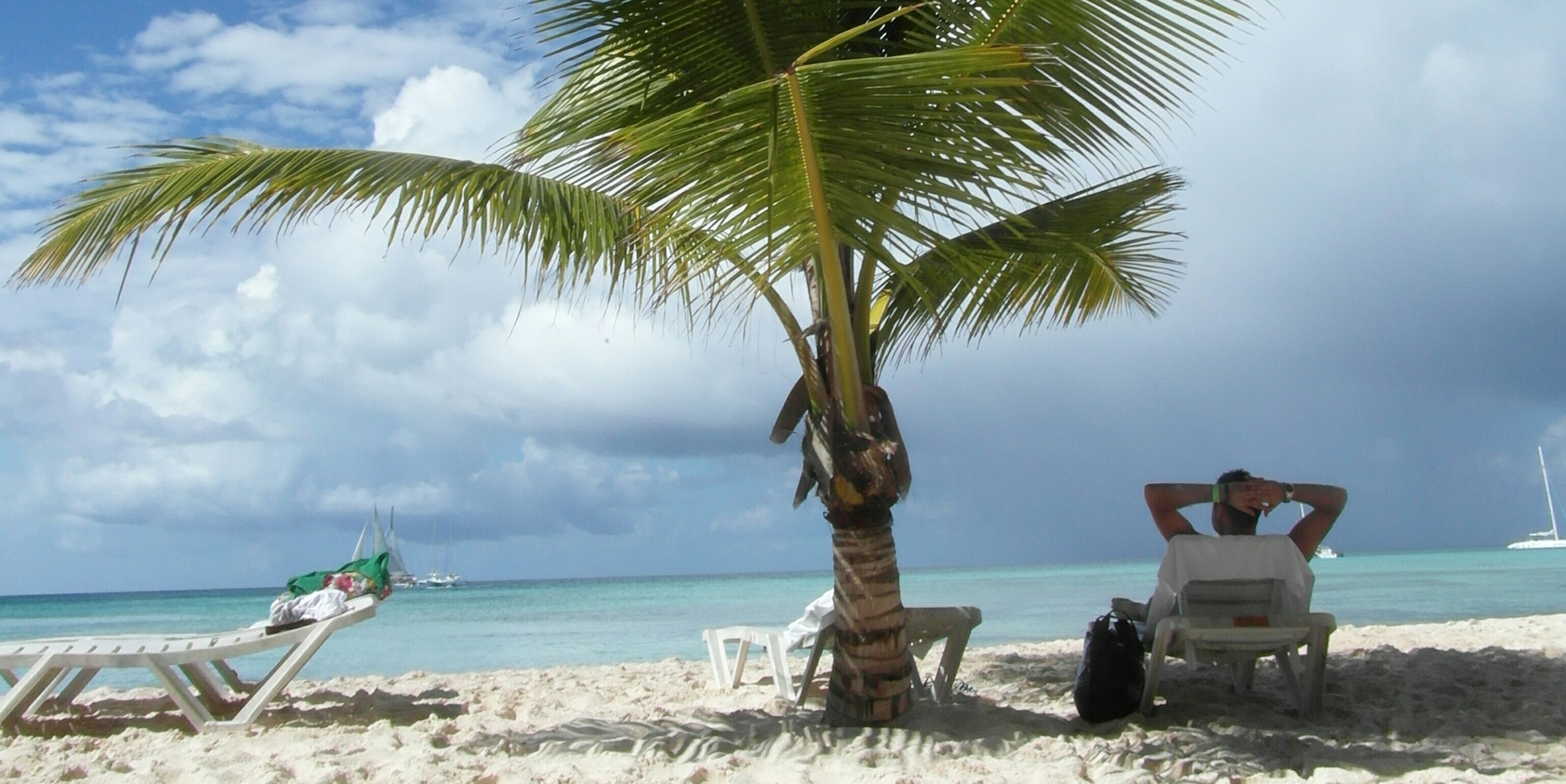 Arno Schepers banner