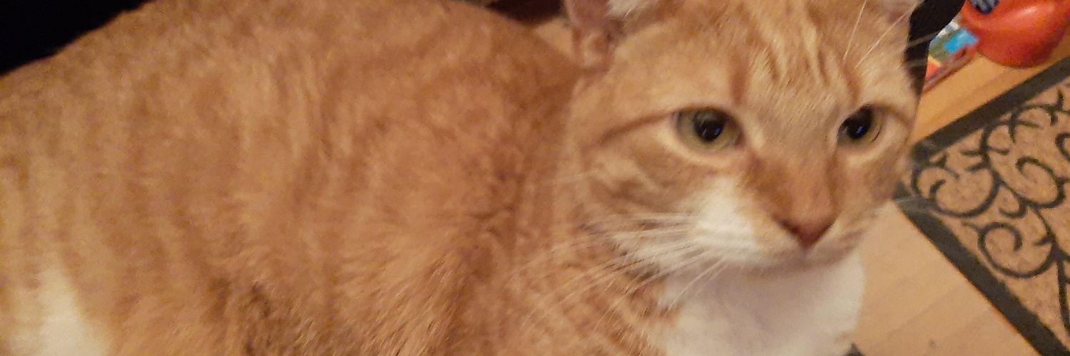 AndyWiesinger's profile banner image