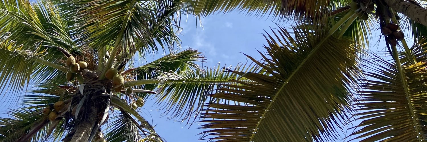 yourjoyx3's profile banner image