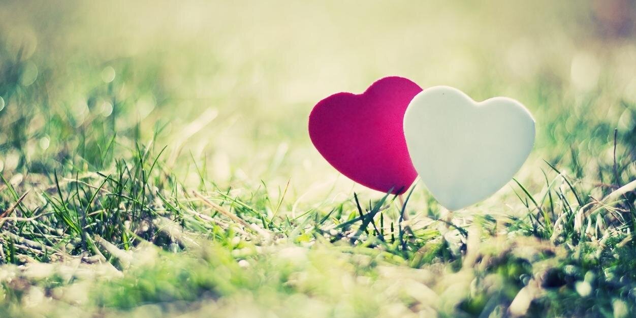 lovefreemo's profile banner image
