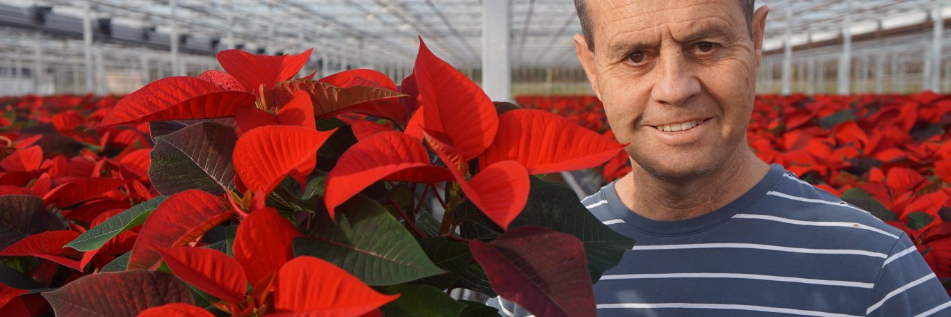 HomeGrownPlants's profile banner image