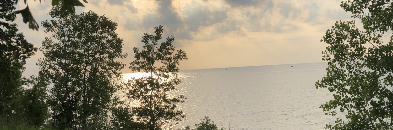 Fran Grantham banner