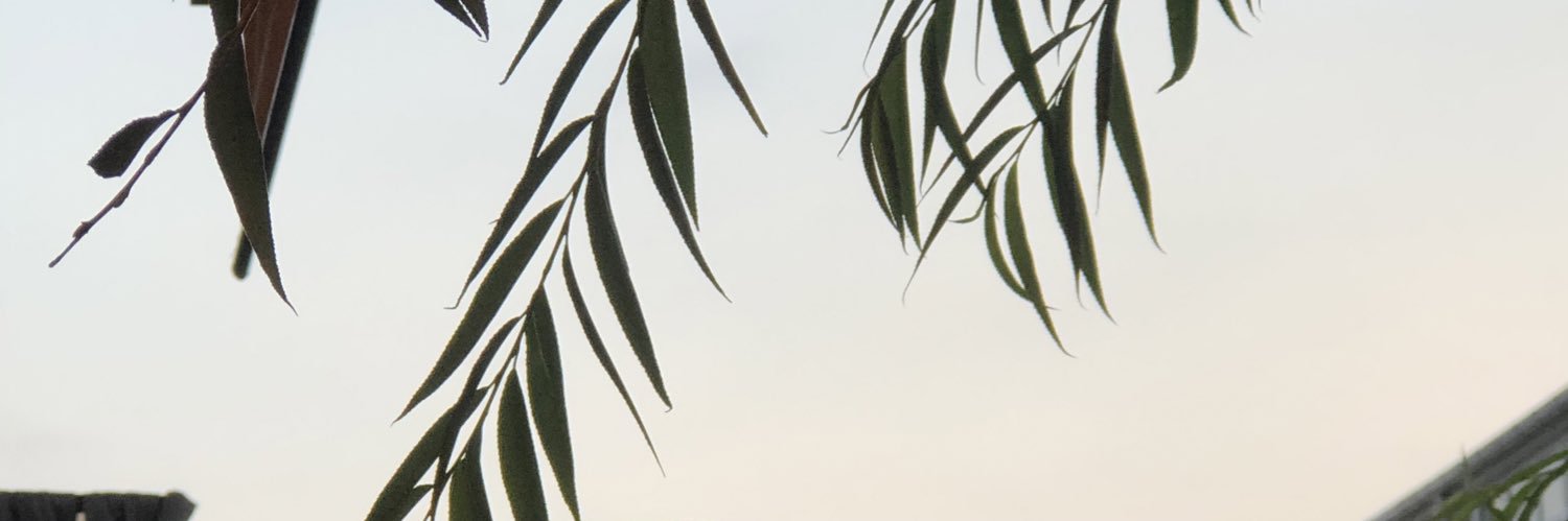 gizeemyldrmm's profile banner image