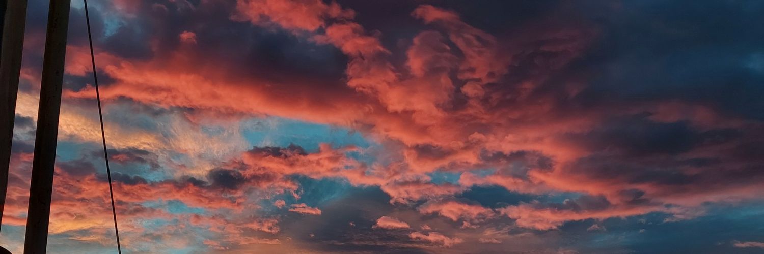 AnaCarry_On's profile banner image