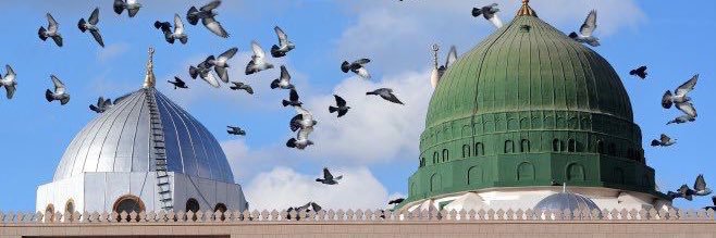 تَـــرفْ | banner