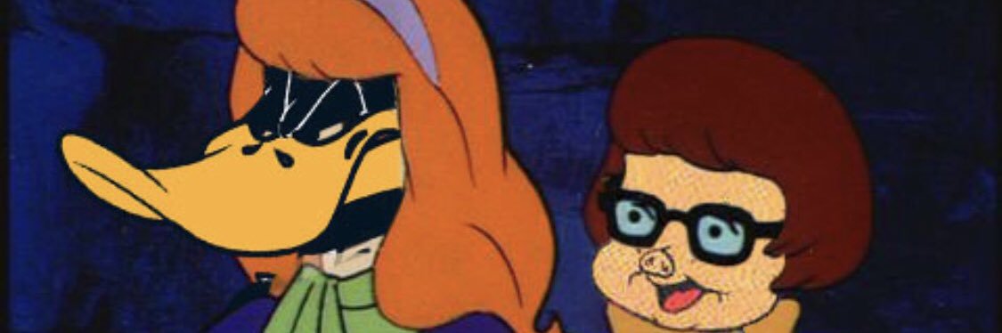 RationalRonda's profile banner image