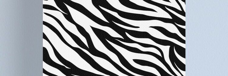 pg_dacasa's profile banner image