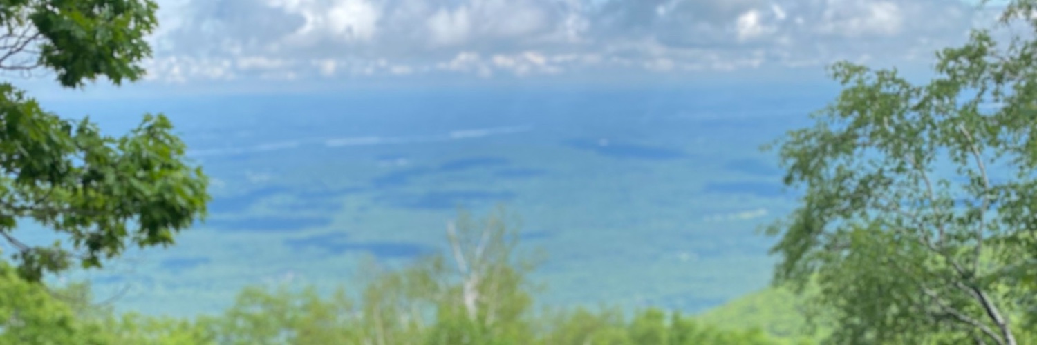 debinpurchasing's profile banner image