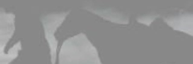 ahmutiri's profile banner image