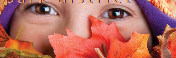 North Berwyn Parks banner