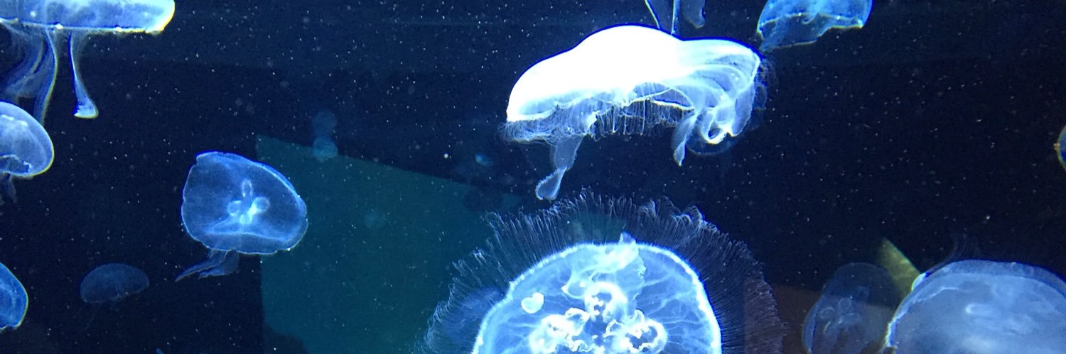 _nenette5's profile banner image