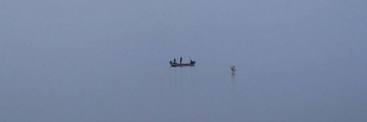 عبدالعزيز المخلّفي banner