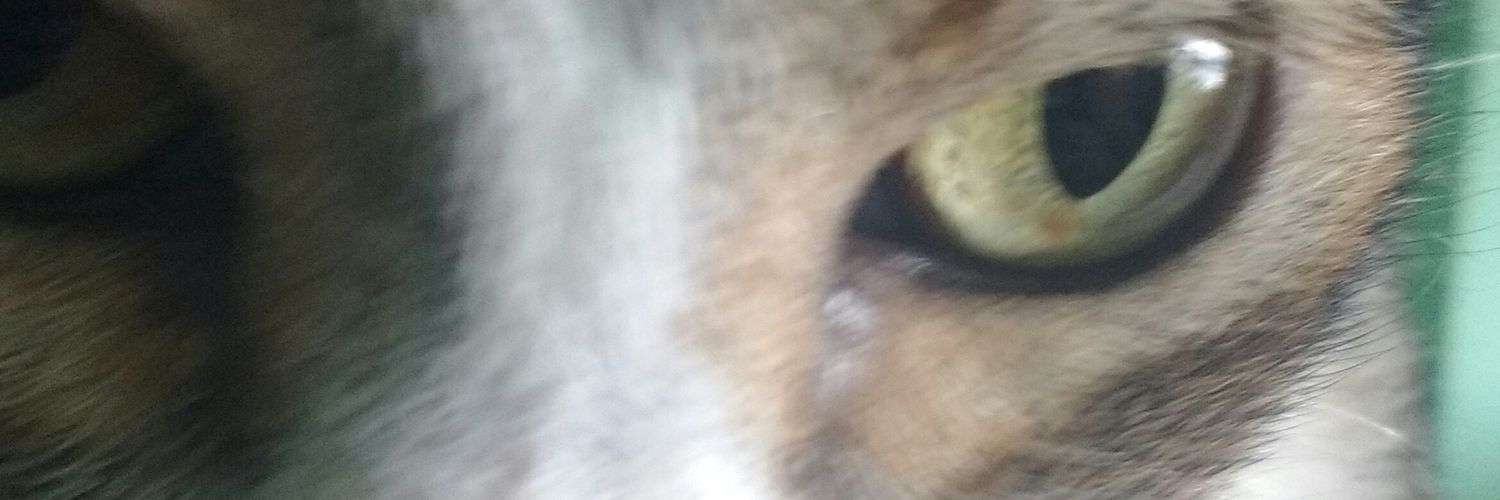 andrespenag's profile banner image