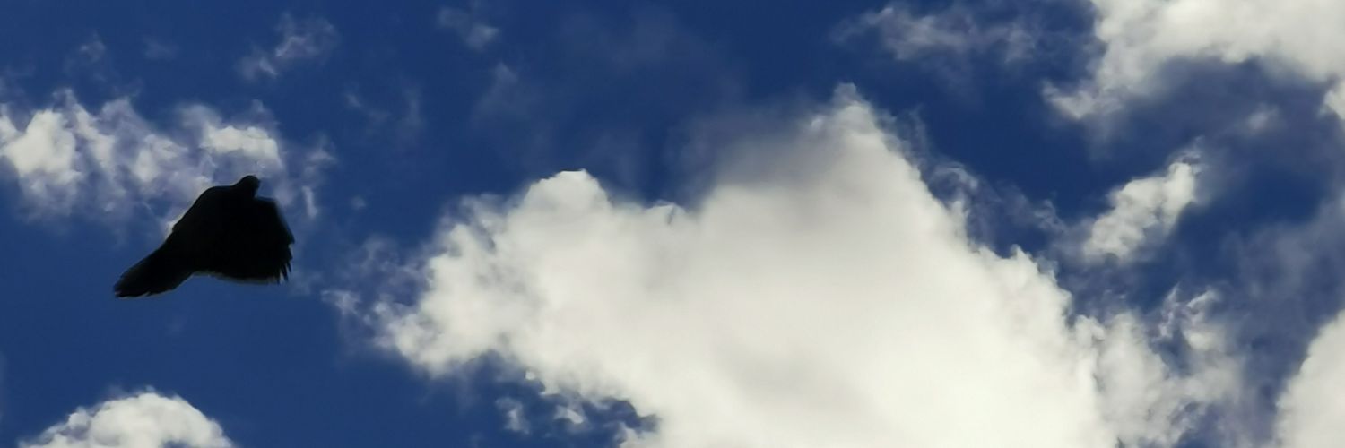 aaaboor's profile banner image