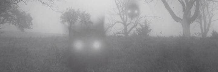 MrMorbid00's profile banner image