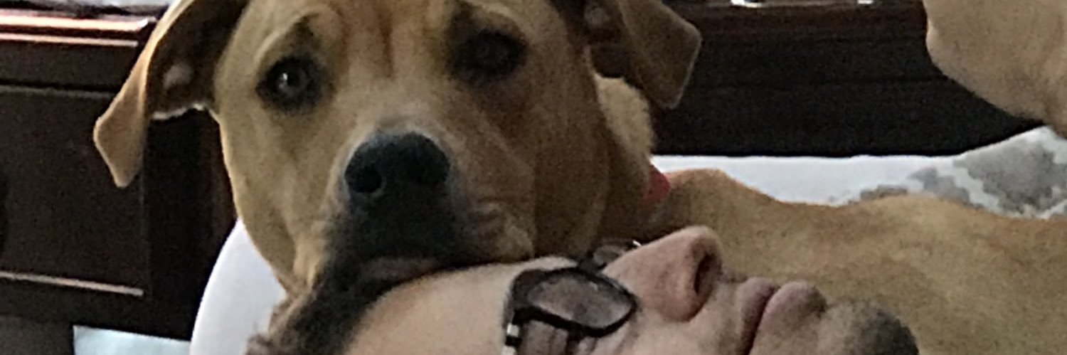 A_Stahlgren's profile banner image