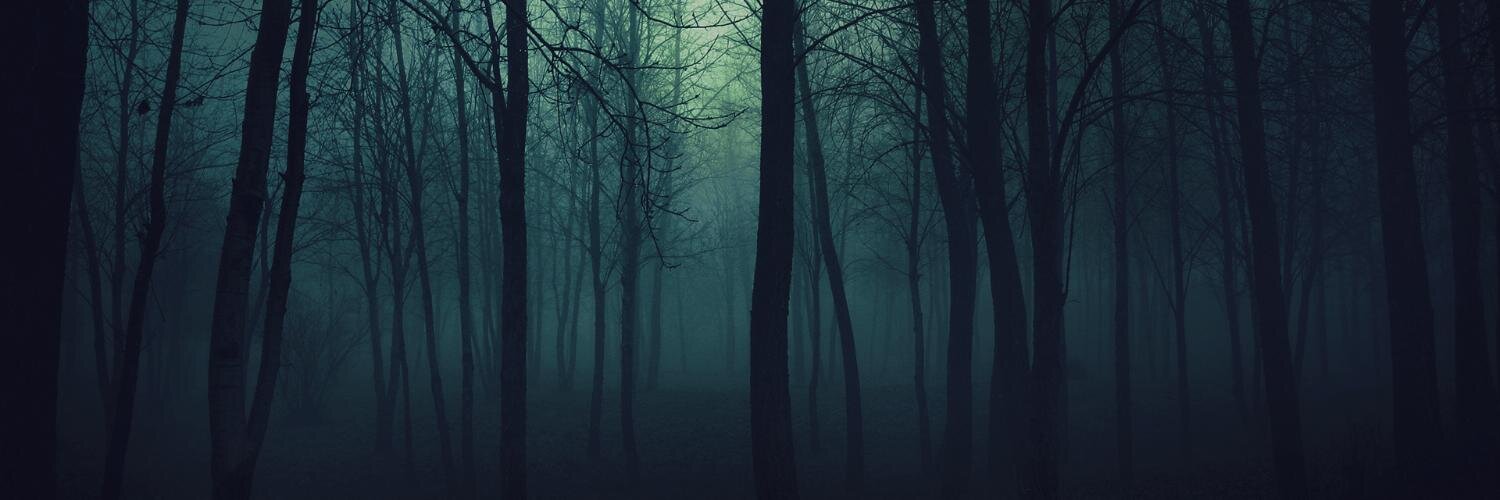 Ha8es's profile banner image