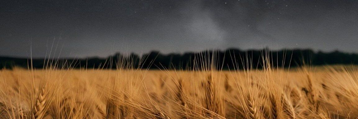 MahmoodGhandor's profile banner image