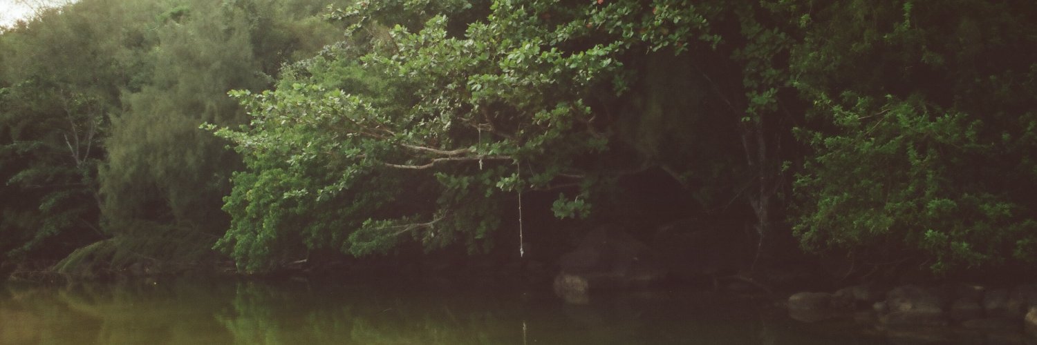 riley_1000's profile banner image