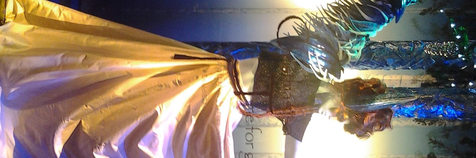 toyasweb's profile banner image