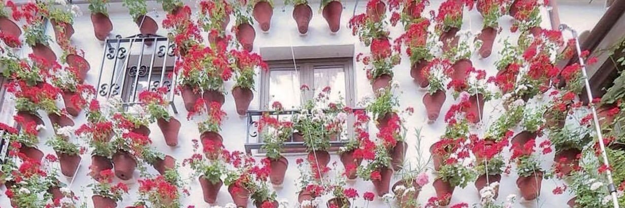 MariaGarcia981's profile banner image