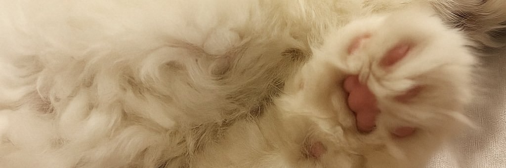 danielaa_fr's profile banner image