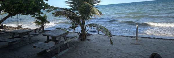 aprilellis_ Profile Banner