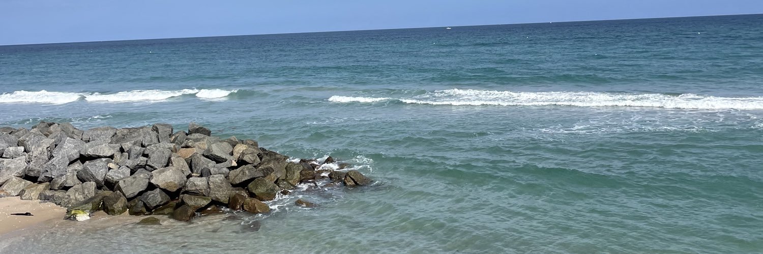 Elania 🇰🇷🇺🇸🏴󠁧󠁢󠁥󠁮󠁧󠁿🇿🇼 banner