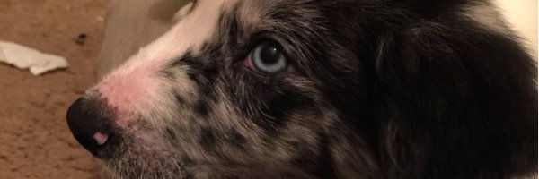 jsmooth243 Profile Banner