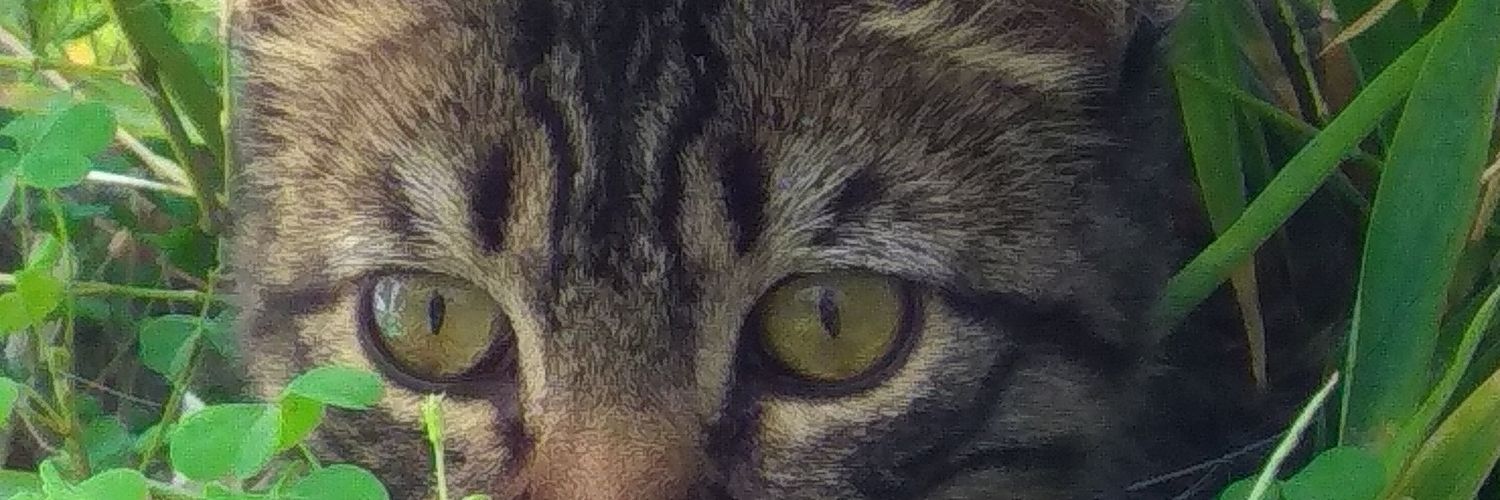 clowngreendark's profile banner image
