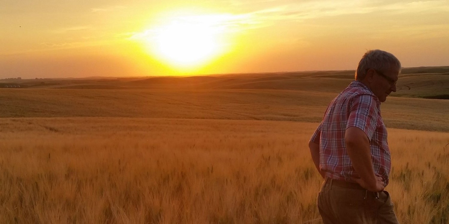 Matthew Carles banner