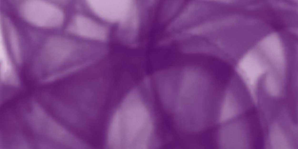 kariasche's profile banner image