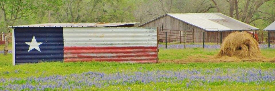 Elizabeth Alexander banner