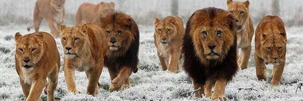 MaltbyMark Profile Banner