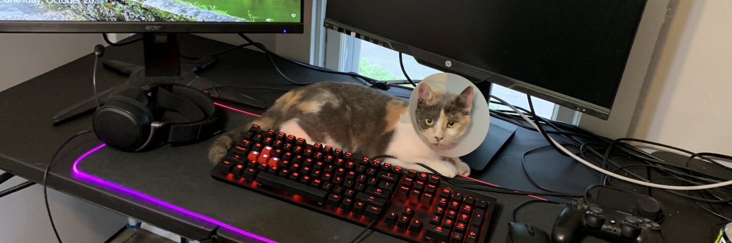 bird2nasty's profile banner image