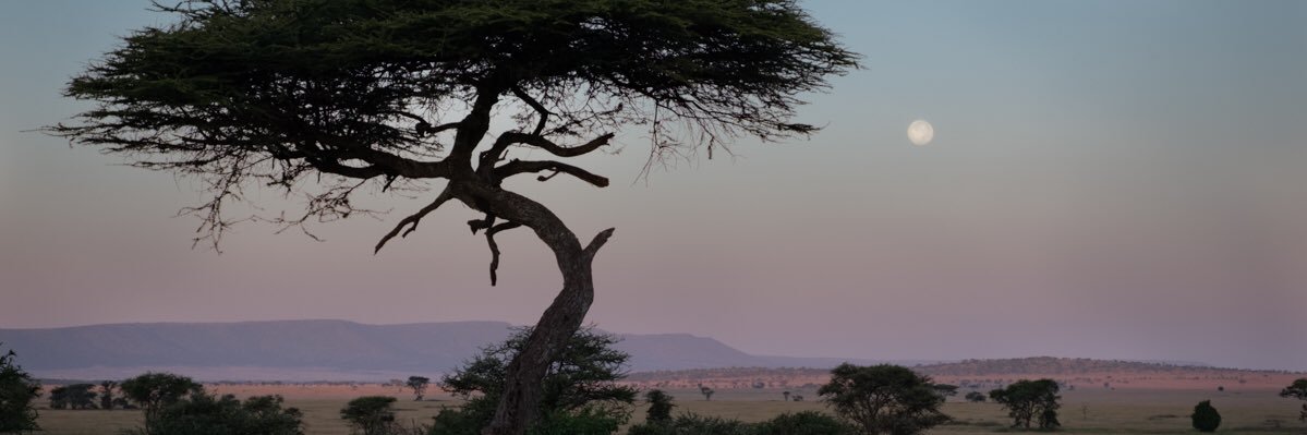 Elneda Connors banner